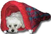 Kosy Kennels