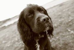  Andrew Maybury Photography