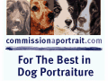  Commission a Portrait