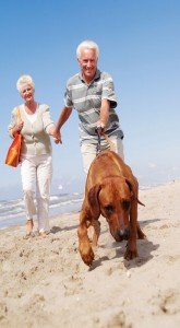  Barking Mad   Pet Sitting and Pet Care Services in Scotland, England and Wales