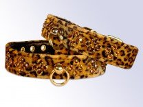 8898edc84c4e92481ff11dd3054b1ef8 Rich Bitch Petwear
