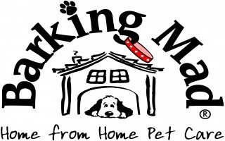  Barking Mad   Pet Sitting and Pet Care Services in Scotland, England and Wales